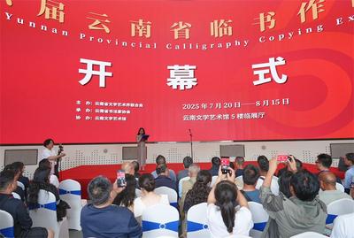 第六届云南省临书作品展在云南文学艺术馆开幕