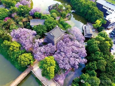 旅居生活在开远，样样好！