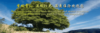 点赞 | 临沧导游杨泽恩：为游客“定制”专属的临沧记忆