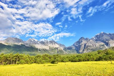 图集丨丽江：玉龙雪山夏日风光美如画