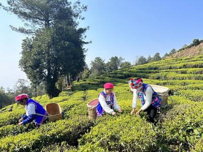 双柏县法脿镇：念好“五字诀” 建设和美村