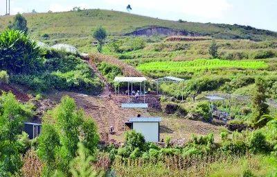 玉溪文旅周刊丨世界级重大考古成果！玉溪出土30万年前木器