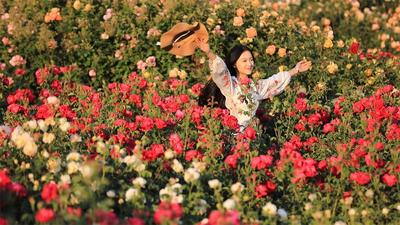 当火把点燃盛夏！解锁楚雄州5大精品旅居线路，深度体验“中国火城·浪漫花都”