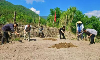 楚雄双柏独田乡：党建引领践初心 惠民服务暖人心