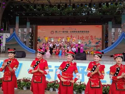 温润玉溪 旅居福地丨易门：以“菌”为媒 绘就文体旅融合新画卷