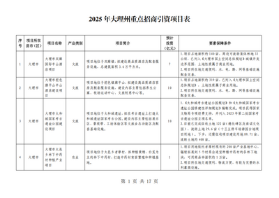 协议总投资306亿元！2025年大理州重点招商引资项目清单出炉→