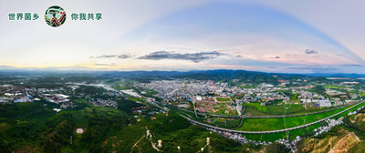 云南南华：菌旅来袭，邀您解锁别样暑期！