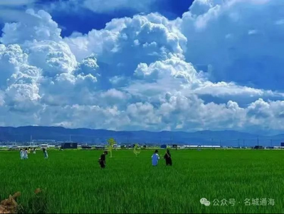 云游丨拾一段云南独有的“稻香” 打卡云端上的稻浪