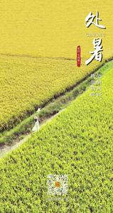 暑退凉风至 红河万顷秋