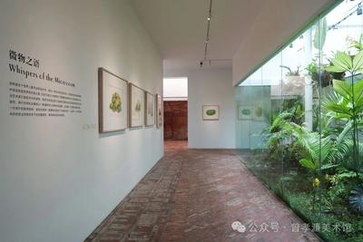 展讯 | 展览“‘原本自然’博物艺术邀请展（第二回）”在曾孝濂美术馆隆重开幕