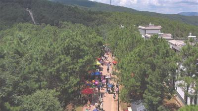 牟定：立秋赶山集 农品出山忙