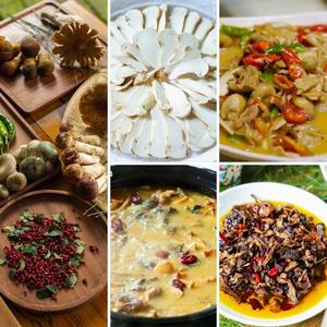 楚雄：用舌尖验证“世界野生菌王国”的硬实力