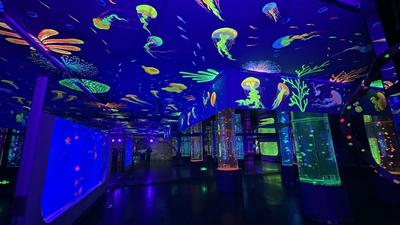 石林·冰雪海洋世界暑期夜场8月1日起开放