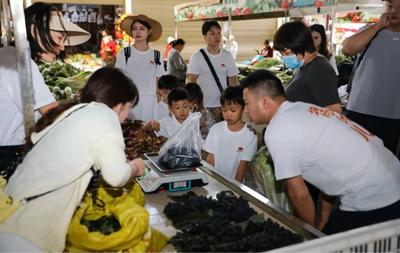丽江永胜一场乡村振兴与亲子研学的美丽邂逅，点亮乡村旅居新体验