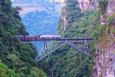 旅居红河 村长有请｜红河的村里，有向往的生活！