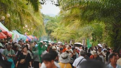 节庆燃动普洱，新媒体矩阵引爆文旅热潮