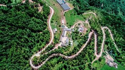 楚雄双柏：党建领航治交通 全民携手助振兴