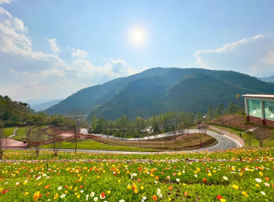 旅居云南 康养普洱 | 普洱旅居宝藏点位推荐（第三篇）
