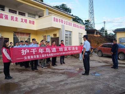 云南南华：哀牢山护鸟周候鸟迁徙保护武装巡护行动启动