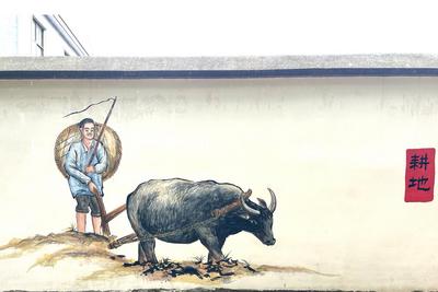 来嵩明牛谷，看牛赛，逛牛市，沾牛气，享牛运——2025嵩明县首届彝族斗牛狂欢嘉年华即将启幕