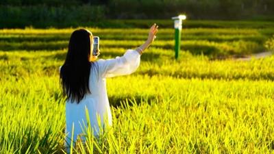 楚雄的秋！是令人心动的秋！