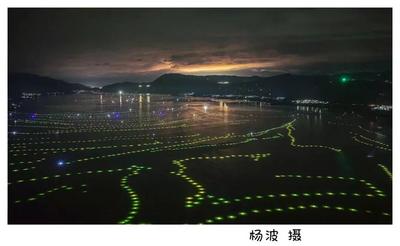 绝美！丽江程海秋夜现“镜像星空”，渔火与银河同框共舞