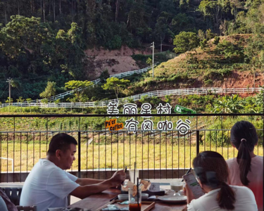 中老铁路点燃“有风咖谷”新动能：普洱白沙坡村书写乡村振兴新篇章