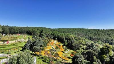 双节“趣玩”永仁！摸鱼、赏百合、享田园，承包你的假期快乐