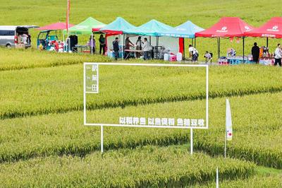 2025年南华县龙川镇第五届农民丰收节暨渔乐节活动开幕