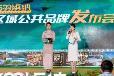 西双版纳区域公共品牌发布会在景洪星光夜市璀璨启幕