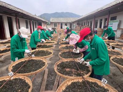 楚雄双柏：以“五问”破题 绘就巩固脱贫与乡村振兴新图景