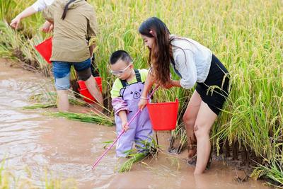 南华丰收节“农趣”十足  割稻摸鱼又溜杆