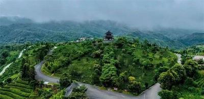 旅居云南 康养普洱丨绿韵康养地，心归普洱城