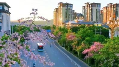 榜单揭晓！全国百强，楚雄市、元谋县入选