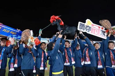 绿茵映繁花 团结谱新篇丨楚雄“花超”浪漫收官！体育架起各民族同心桥