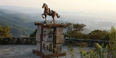 秋冬去哪避寒寻趣？这10条线路，带你重新定义普洱！