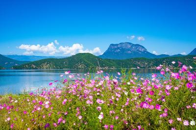 双节同庆·畅游丽江 | 这份文旅盛宴指南请收藏！