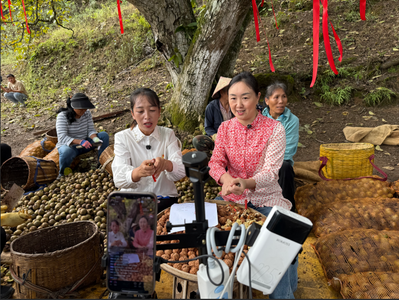 云南昌宁：百年核桃遇上网红直播  解锁乡村振兴新方式