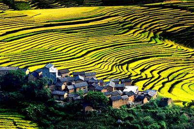 推荐！楚雄这处“自驾天堂”，藏着最治愈的秋日秘境