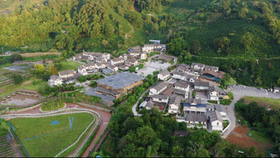 一颗咖啡豆的无限可能：从有风咖谷到世界杯盏