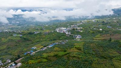 新闻发布会丨2025宁蒗农民丰收节暨苹果季活动精彩纷呈