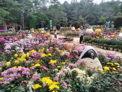 秋日旅行清單，武定獅子山必須有姓名！