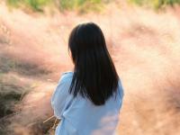 来红河，邂逅粉色秋日！