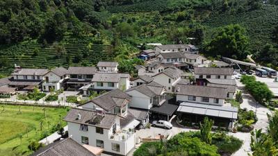 中国咖谷的乡村实践：有风咖谷的融合创新与振兴之路 