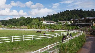 马蹄踏碎都市喧嚣，在有风咖谷找回生活的诗意