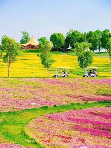 十一月福利来袭，红河有这些羊毛可以薅！