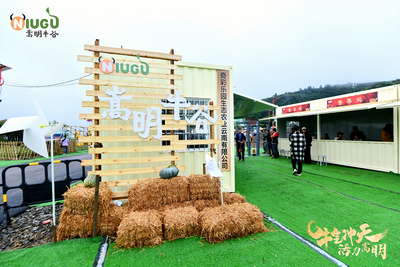 牛气冲天·活力嵩明——2025嵩明县首届彝族斗牛狂欢嘉年华启幕