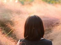 来红河，邂逅粉色秋日！