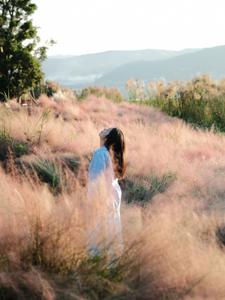 來(lái)紅河，邂逅粉色秋日！