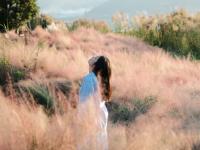 来红河，邂逅粉色秋日！